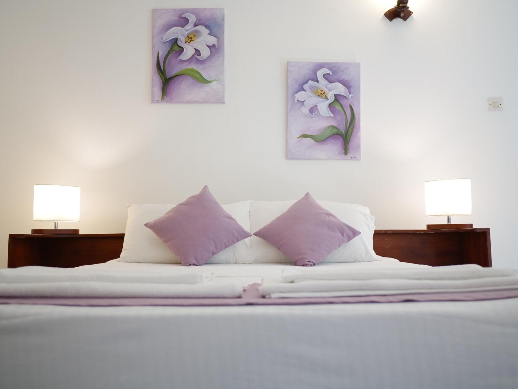 Pensión Elegance Oasis, 3